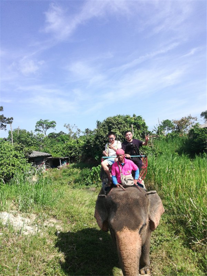 2018��Ա���緶6