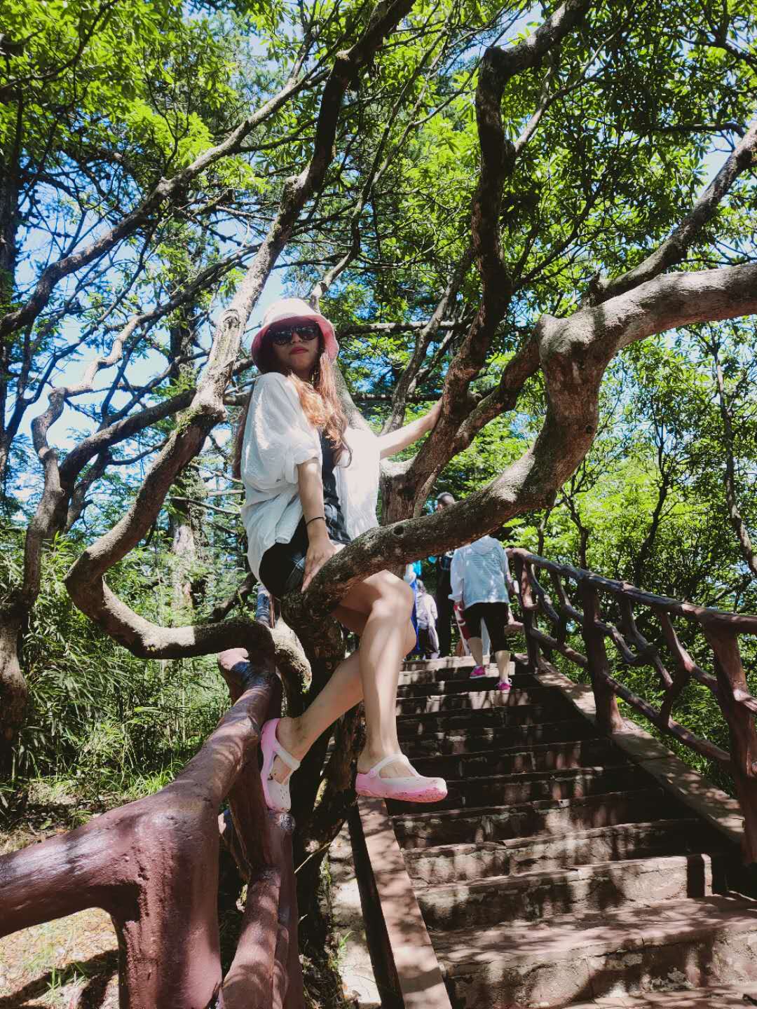 2020��Ա���緶4